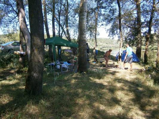 ��� ������