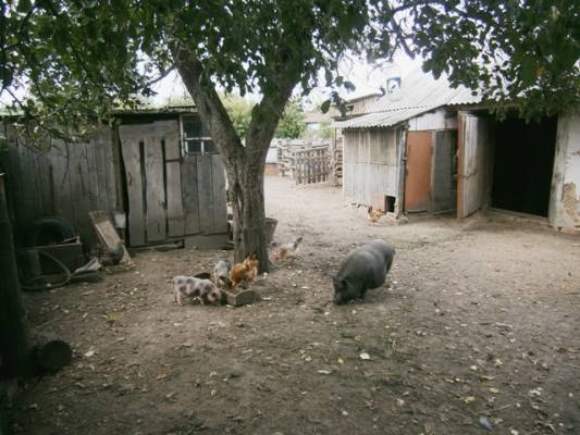 ���� ������ � ��������:)