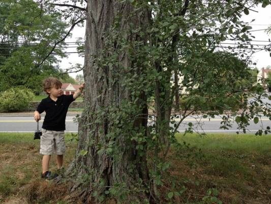 �������� �����. �������, ���� ��������� �������:)