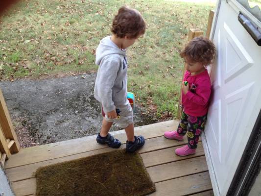 ������ ������������ ��� ���� �����