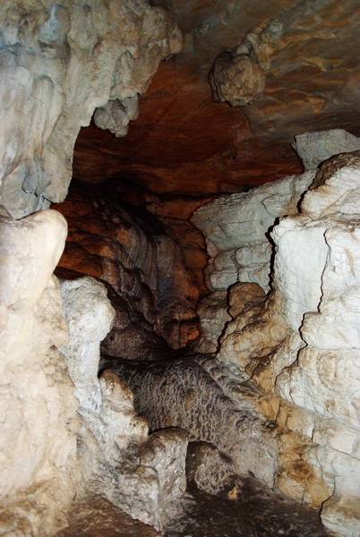 ������������ ������