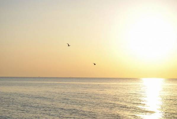 ������ ������ �� �������� ����