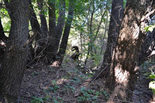 ������ �����