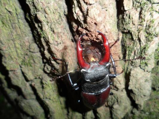 �� ������