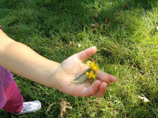 ���������� ��� ���� ������:))