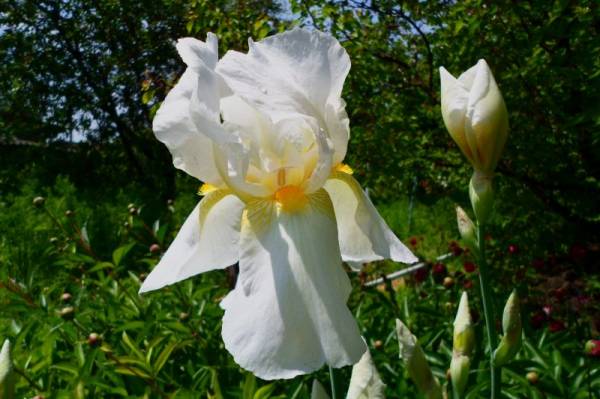 ���� �����