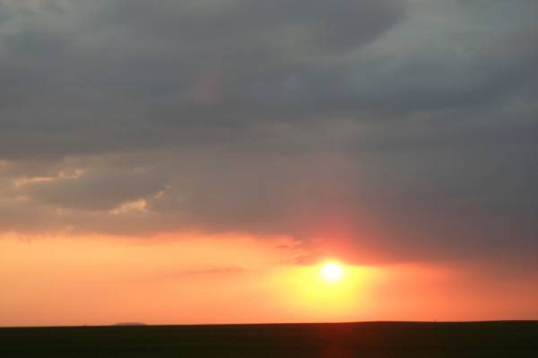 ������ �����