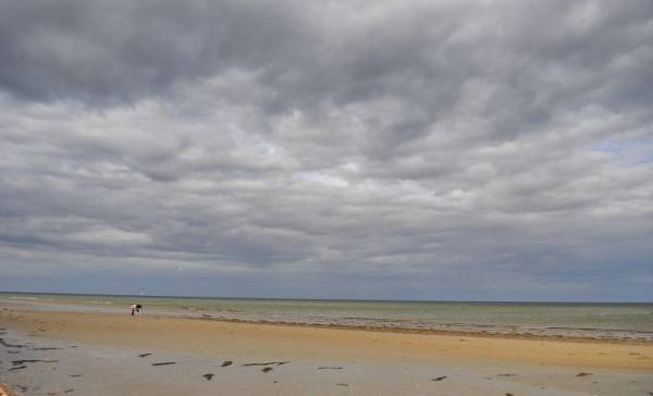 �������� ����. ����� ������