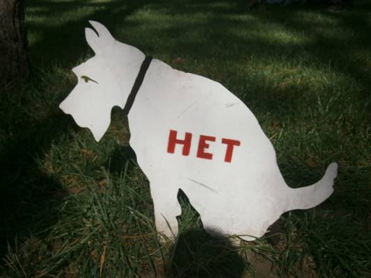 �������� ���������� �������)