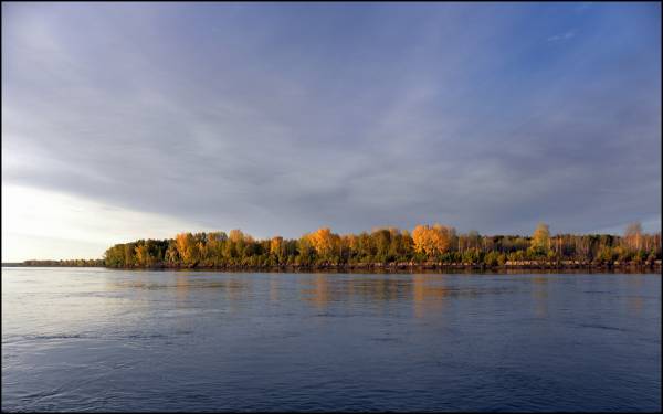 ���. ������� ����.