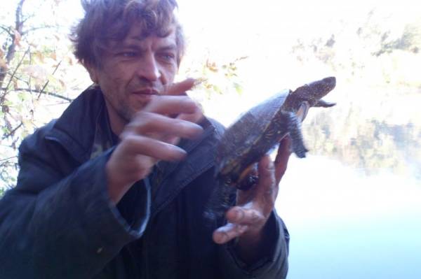 ���� ��������...