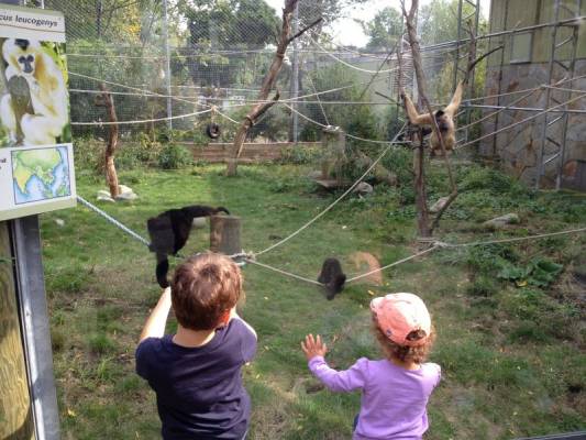 � ���� ��� ������ ����� �� ����������� �������