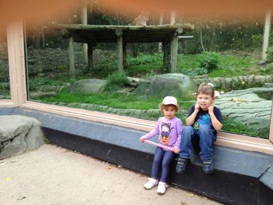 ������ �������� � �������� ��������:)