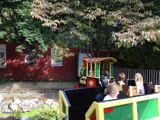 � ������ � ������ � ���� ��� �������:)