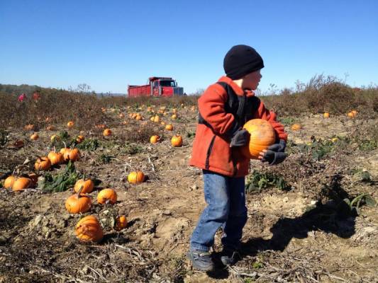 ������ ������������ ��������, ��� �� ���� ��� ���� ����������