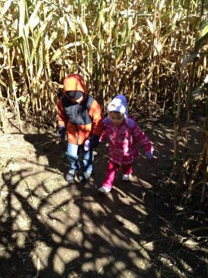 ���������� ��������