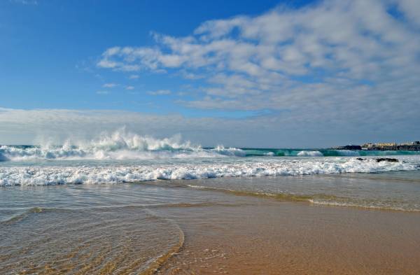 ����������� ���������