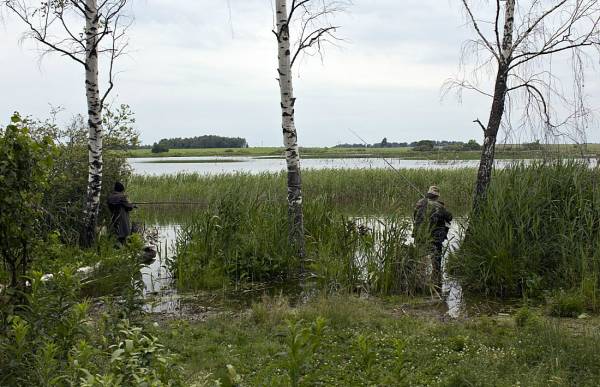 � ��� ����