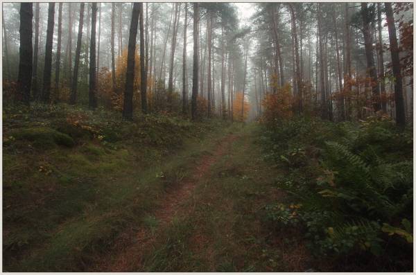 �� �����