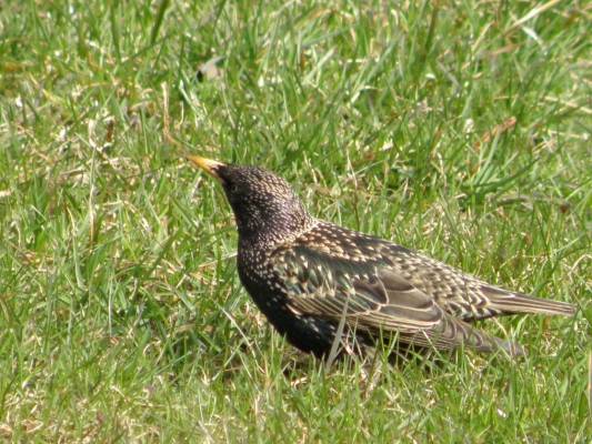 ��� �� ������