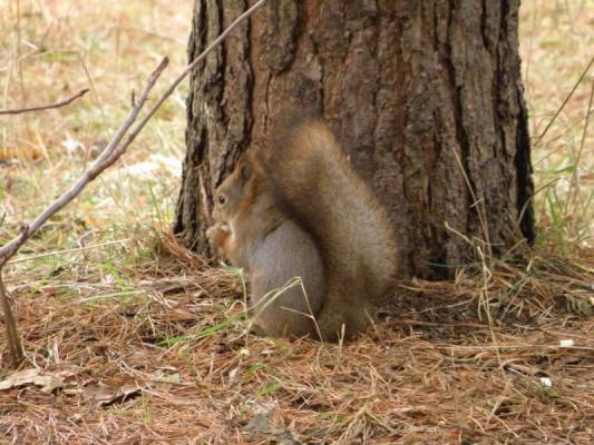 ����������