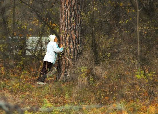 �������