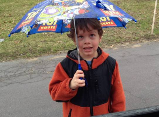 ������ ���������� �� ���� (� � ������)