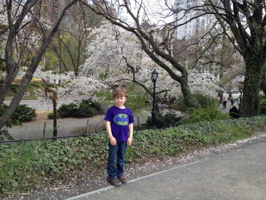 � ����������� ����� � ��