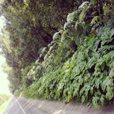 �� ��������