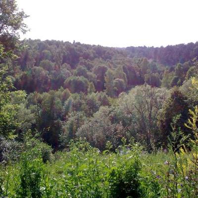 �� ���� �������