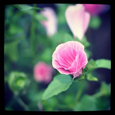 ���������� ��������