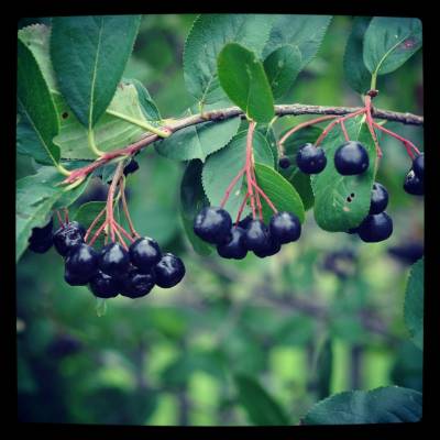 ��������...