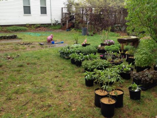 �������� ��� ����� ������ ���������