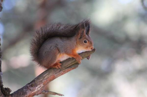 ���� � �����...