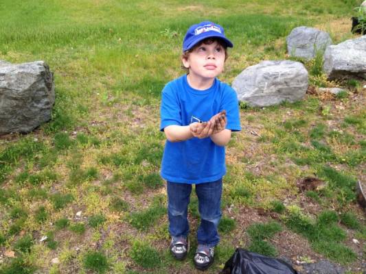 ��������� ����� ���������, ����� � ������ ����� ��� ���������� �� ����:)