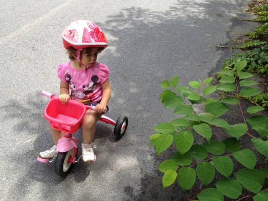 ��������� �� 2 ���� ���������� ���