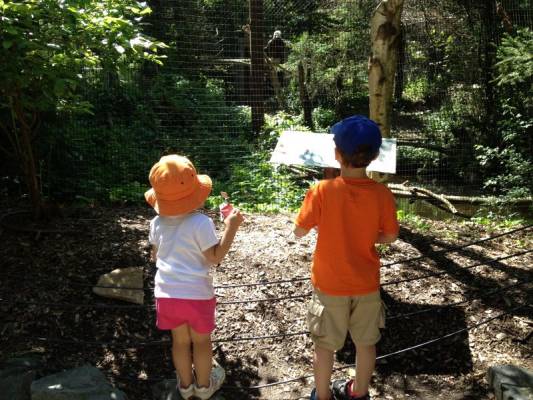 ������� �� ����, ��������� �� ����������:)