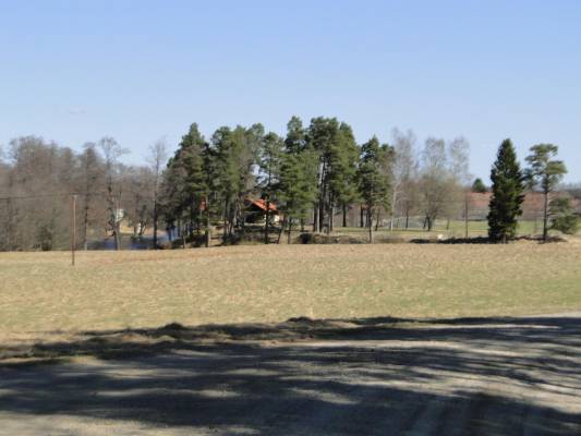 ���� ������� ������� ����