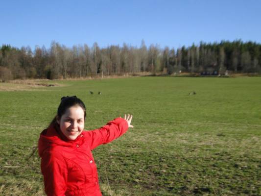 ���� ������� ������� ����