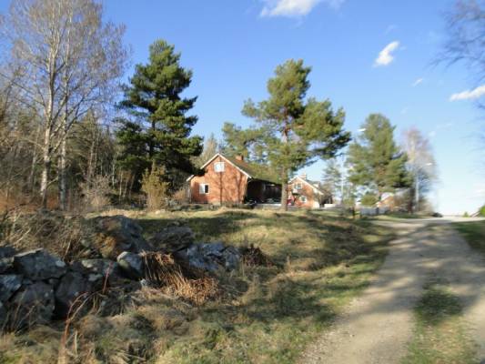 ���� ������� ������� ����