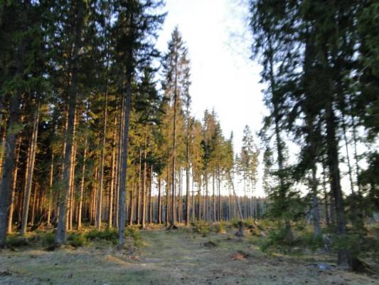 ���� ����� � �������� ������� ����