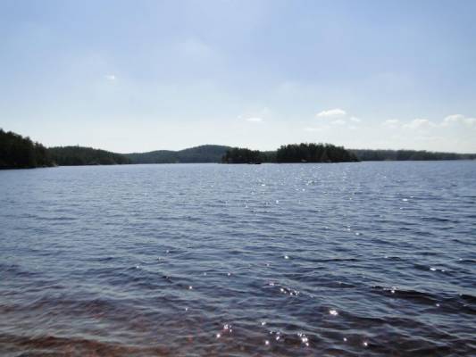 ������������ ���� ��������