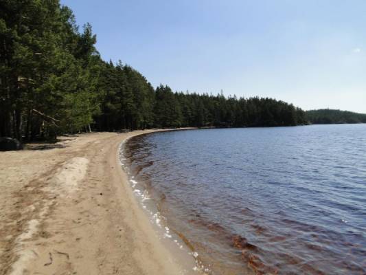 ������������ ���� ��������