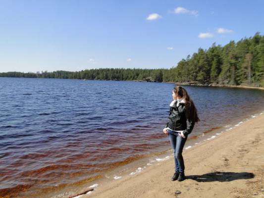 ������������ ���� ��������