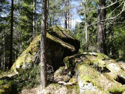 ������������ ���� ��������