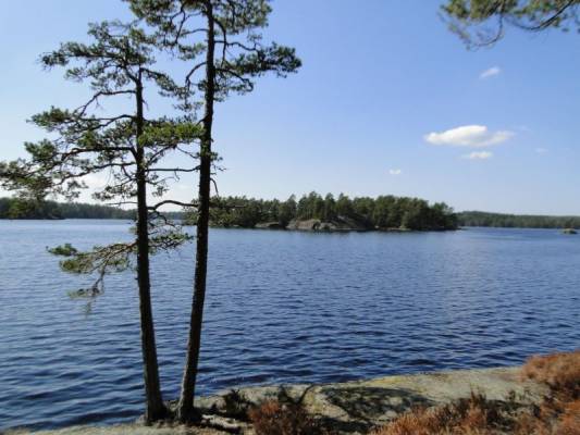 ������������ ���� ��������