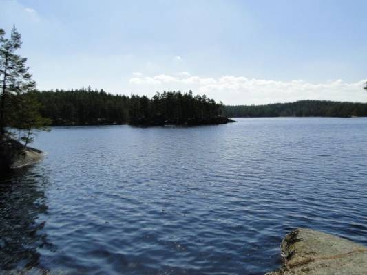 ������������ ���� ��������