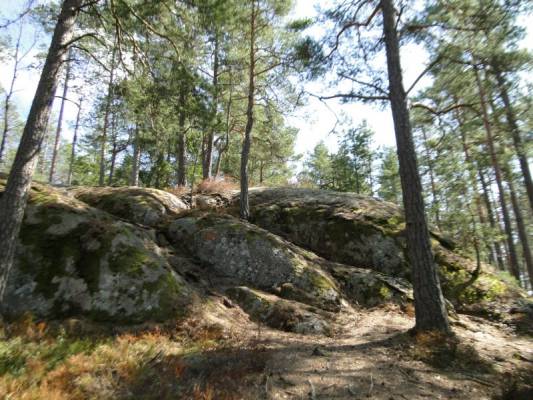 ������������ ���� ��������