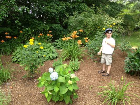 ������ �������������� ����� (����� ��������)