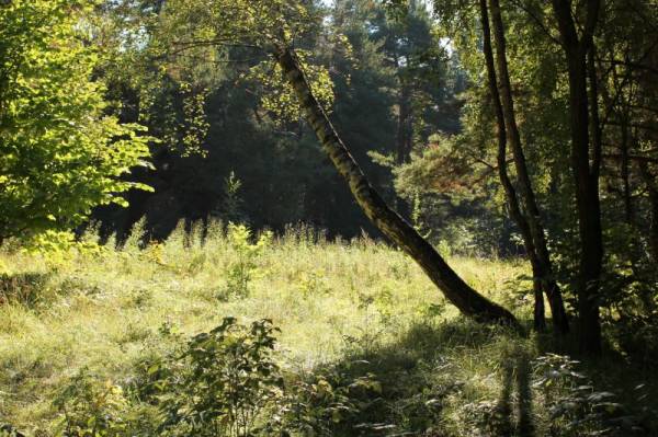 �������� �����